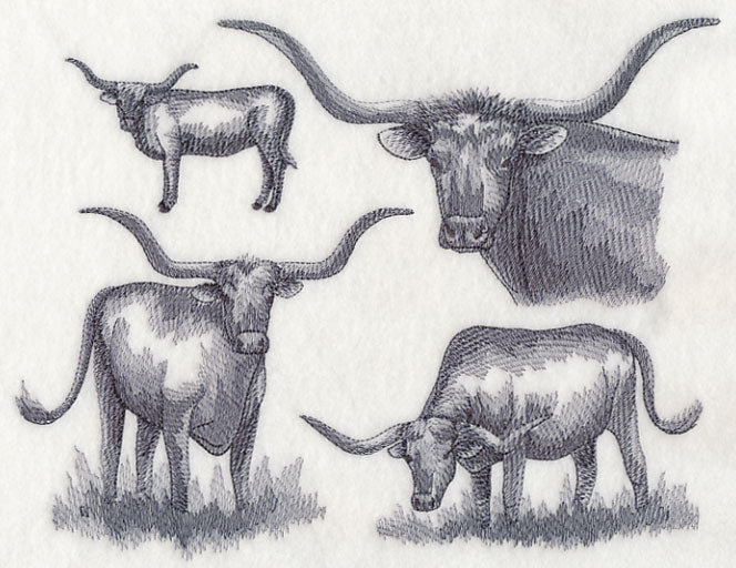 Texas Longhorn Sketch - Image 4