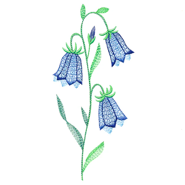 Texture & Bloom - Bluebells - Image 4