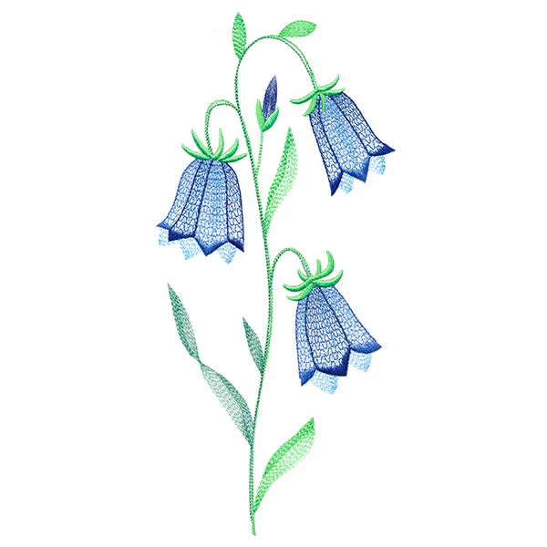 Texture & Bloom - Bluebells - Image 5