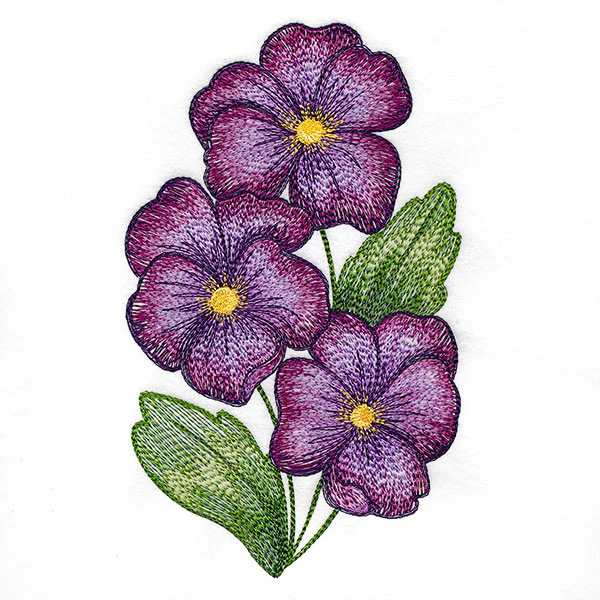 Textured and Lovely African Violets - Image 3
