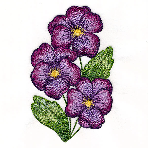 Textured and Lovely African Violets - Image 7