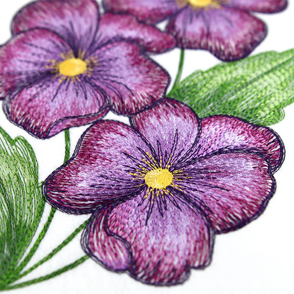 Textured and Lovely African Violets - Image 8