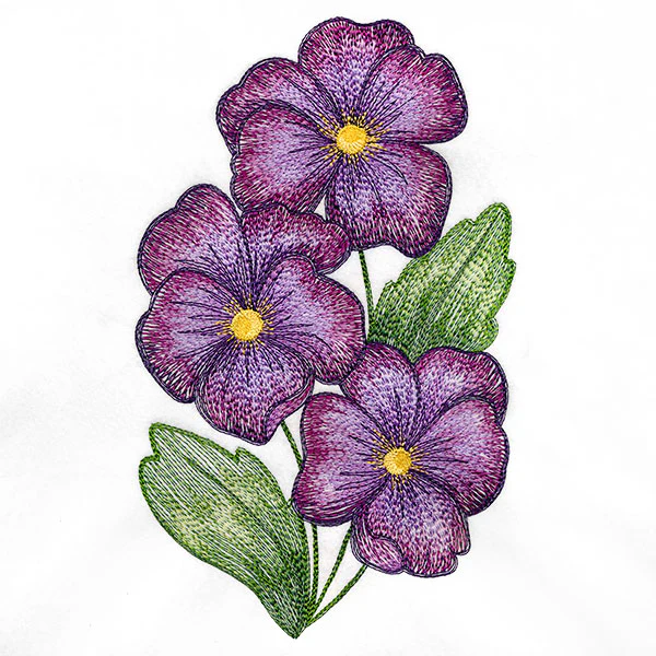 Textured and Lovely African Violets - Image 9