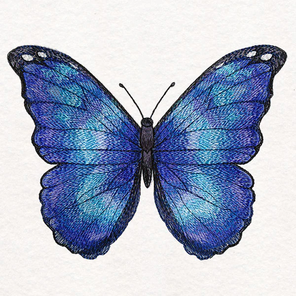 Textured & Lovely Blue Morpho Butterfly - Image 3