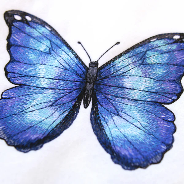 Textured & Lovely Blue Morpho Butterfly - Image 8