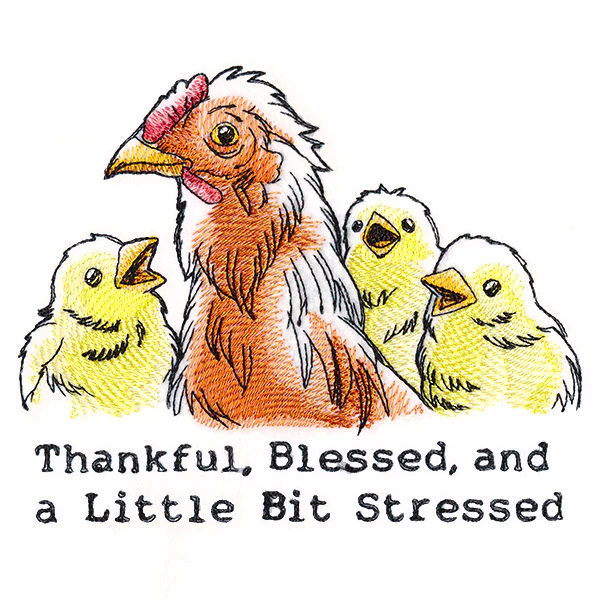 Thankful, Blessed, and a Little Bit Stressed Chickens - Image 3