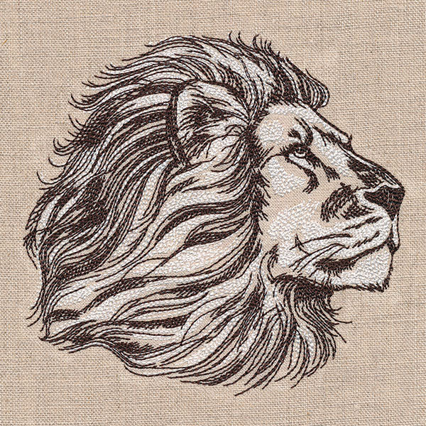 The Pride of a Lion Etching - Image 5