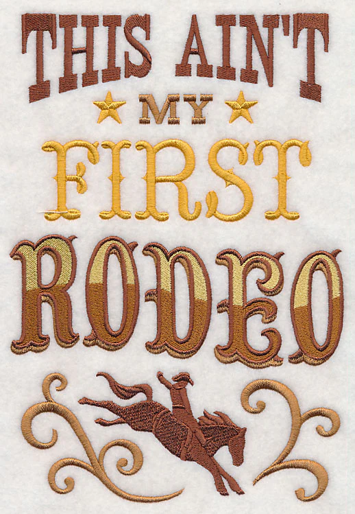 This Ain't My First Rodeo