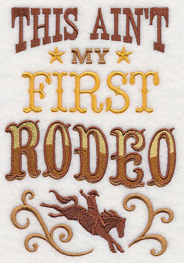 This Ain't My First Rodeo - Image 4