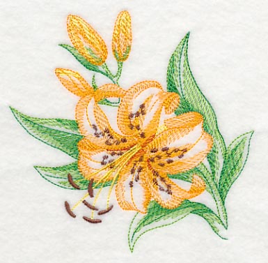 Tiger Lily Beauty - Image 4