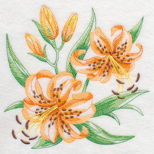 Tiger Lily Sketch - Image 2