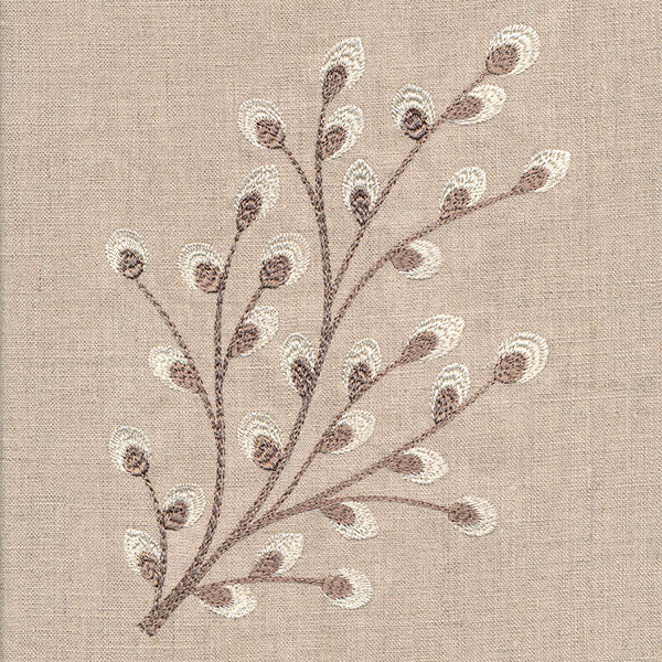 Time for Texture Pussywillow - Image 2