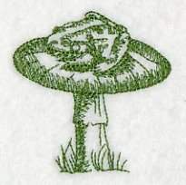 Toad and Stool 3 (Toile) - Image 2