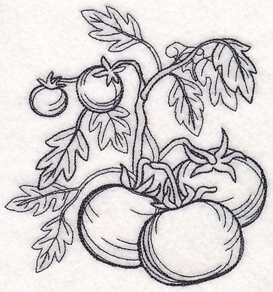 Tomato Etching - Image 3