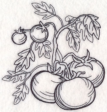 Tomato Etching - Image 4