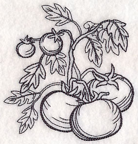 Tomato Etching - Image 5