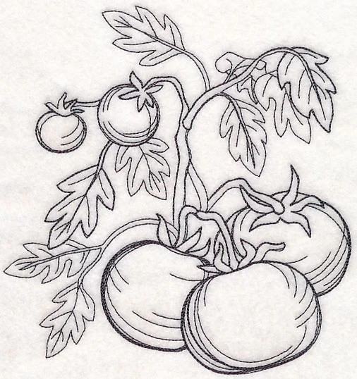 Tomato Etching - Image 6