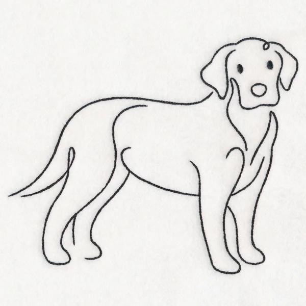Top of the Line - Labrador - Image 2