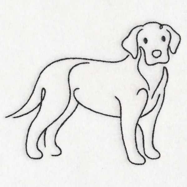 Top of the Line - Labrador - Image 5