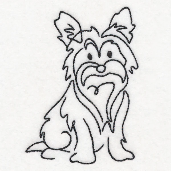 Top of the Line - Yorkie - Image 5