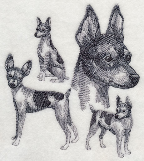 Toy Fox Terrier Sketch - Image 2
