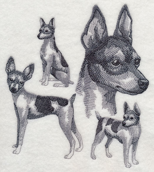 Toy Fox Terrier Sketch - Image 5