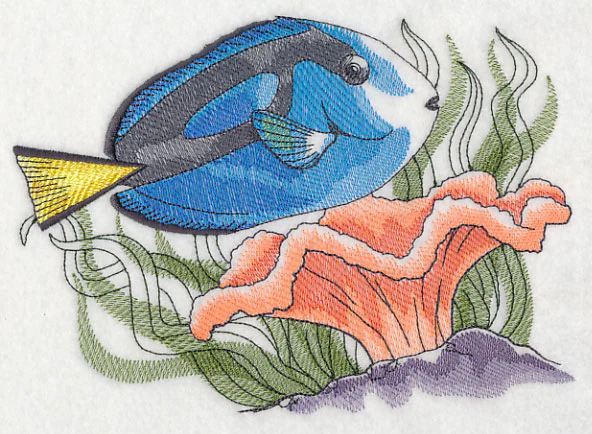 Tropical Blue Tang Sketch - Image 2