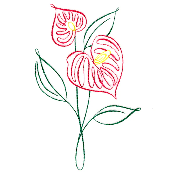 Tropical Calligraphy in Bloom - Anthurium - Image 3