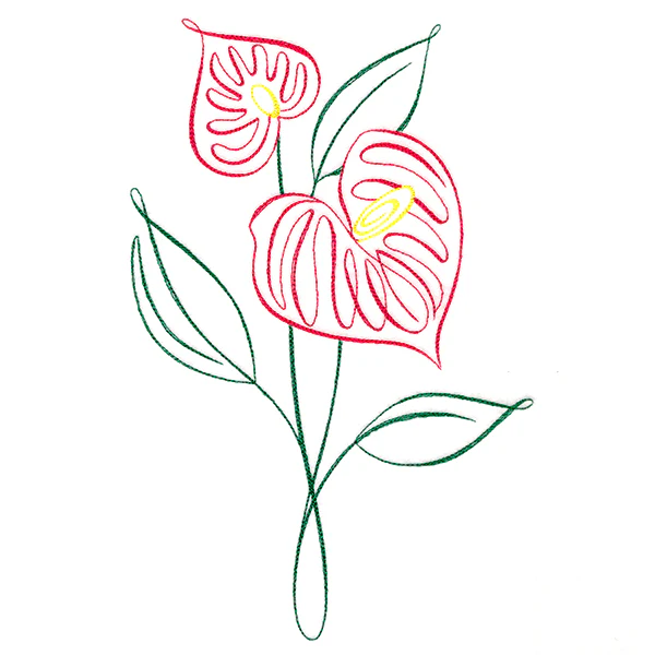 Tropical Calligraphy in Bloom - Anthurium - Image 6