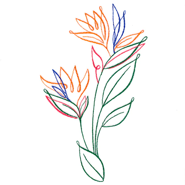 Tropical Calligraphy in Bloom - Bird of Paradise - Image 3