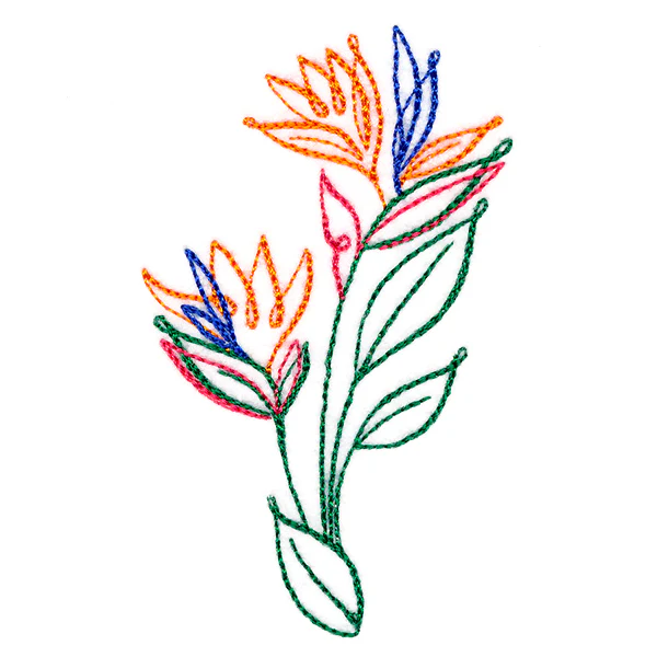 Tropical Calligraphy in Bloom - Bird of Paradise - Image 5