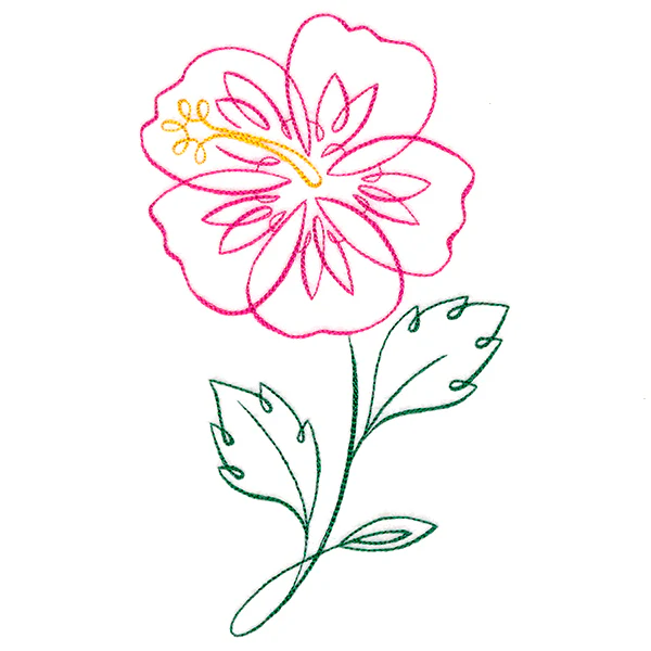 Tropical Calligraphy in Bloom - Hibiscus - Image 3