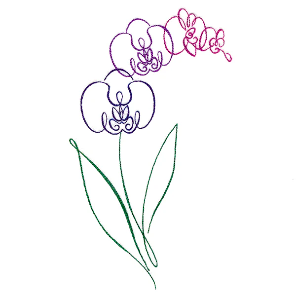 Tropical Calligraphy in Bloom - Orchid - Image 2