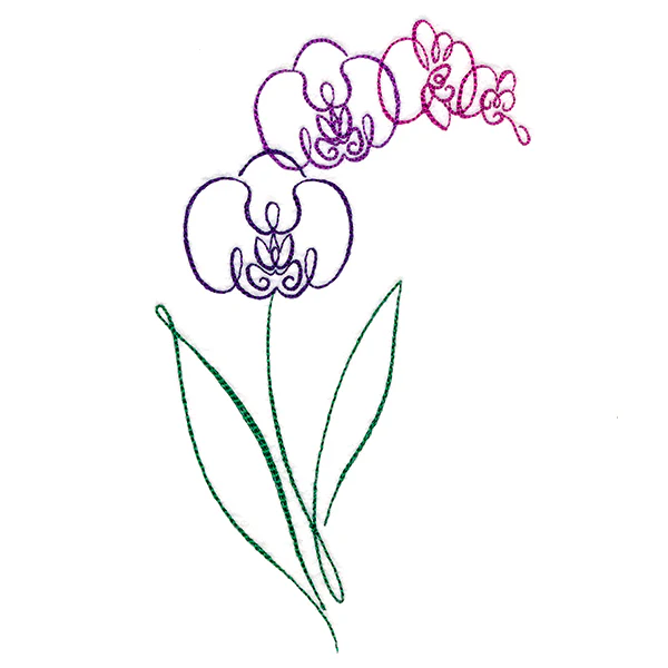 Tropical Calligraphy in Bloom - Orchid - Image 4