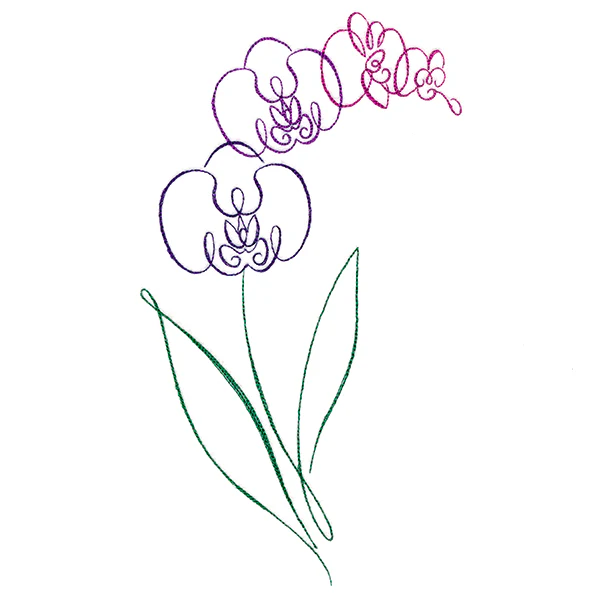 Tropical Calligraphy in Bloom - Orchid - Image 6