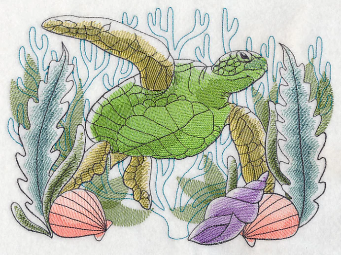Tropical Sea Turtle Sketch - Image 4