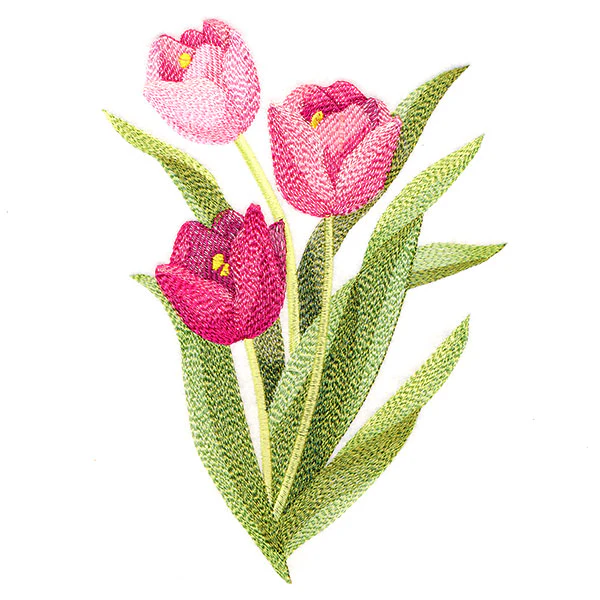 Truly Tulip Blooms