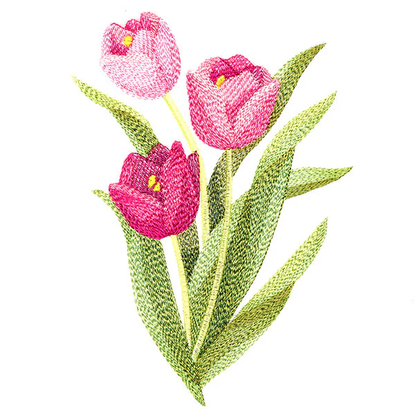 Truly Tulip Blooms - Image 2