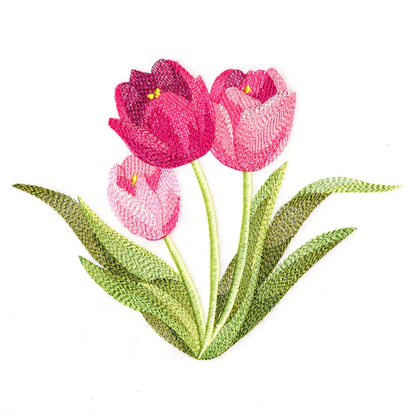 Truly Tulip Bunch