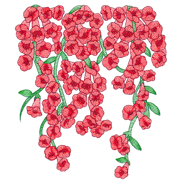 Trumpet Vine Flowers Feature - Image 4