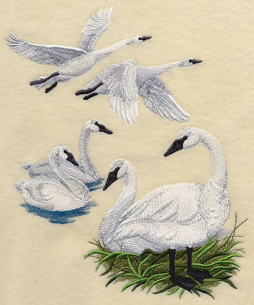 Trumpeter Swan Collage - Image 2