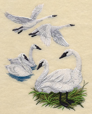 Trumpeter Swan Collage - Image 5