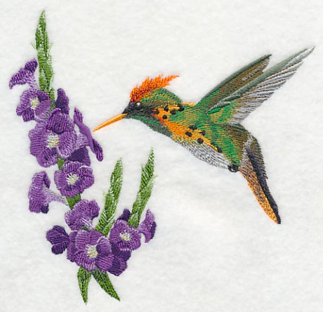 Tufted Coquette Hummingbird with Porterweed Flower - Image 2