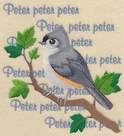 Tufted Titmouse Song - Image 2