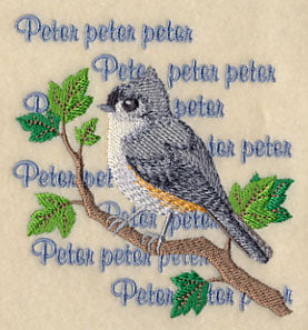 Tufted Titmouse Song - Image 5