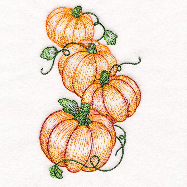 Tumbling Pumpkin Etching - Image 7