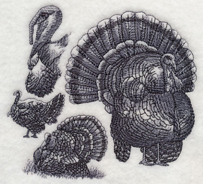 Turkey Sketch - Image 4