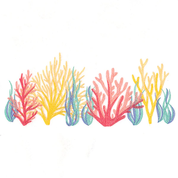 Under the Sea Coral Border - Image 2