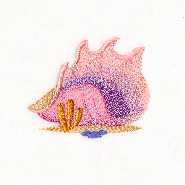 Under the Sea - Seashell - Image 2