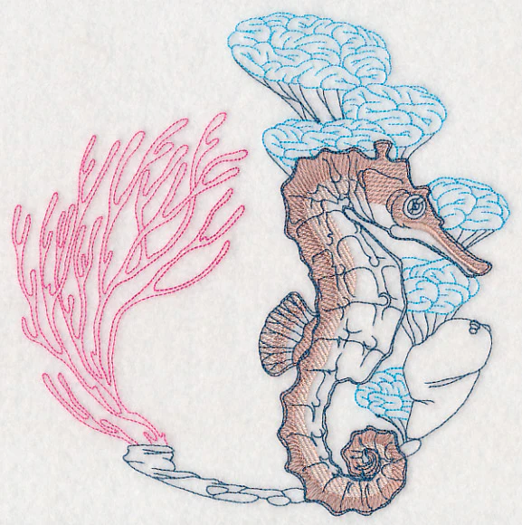 Undersea Seahorse Etching - Image 6